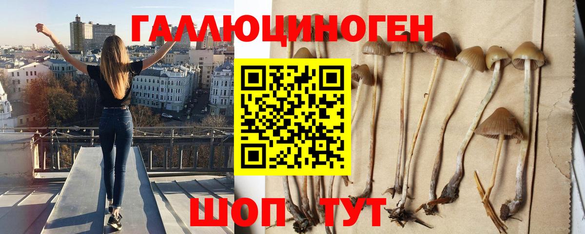 Галлюциногенные грибы MAGIC MUSHROOMS Унеча