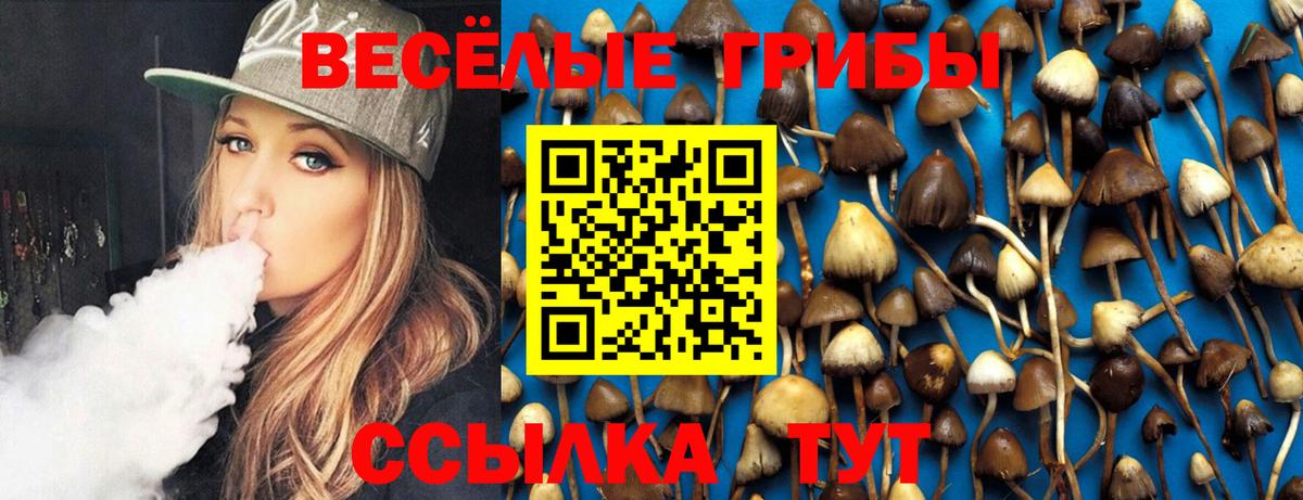 Псилоцибиновые грибы Cubensis  Псилоцибиновые грибы MAGIC MUSHROOMS  цены наркотик  Унеча 